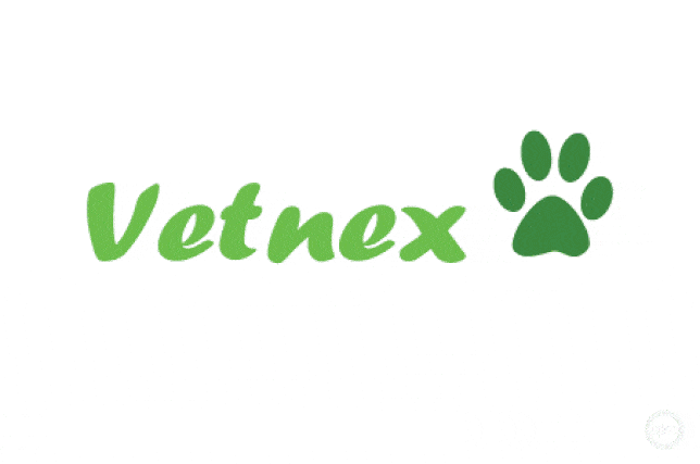 Vetnex Success Story