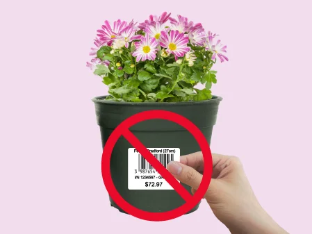 Custom Label Solutions for nursery stickers