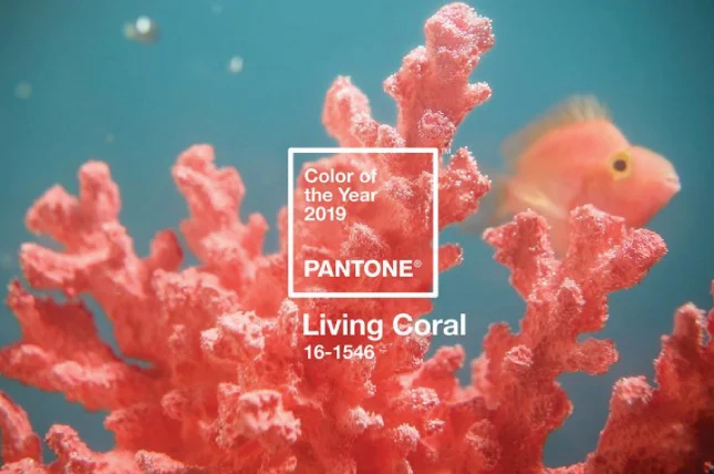 colour of the year 2019